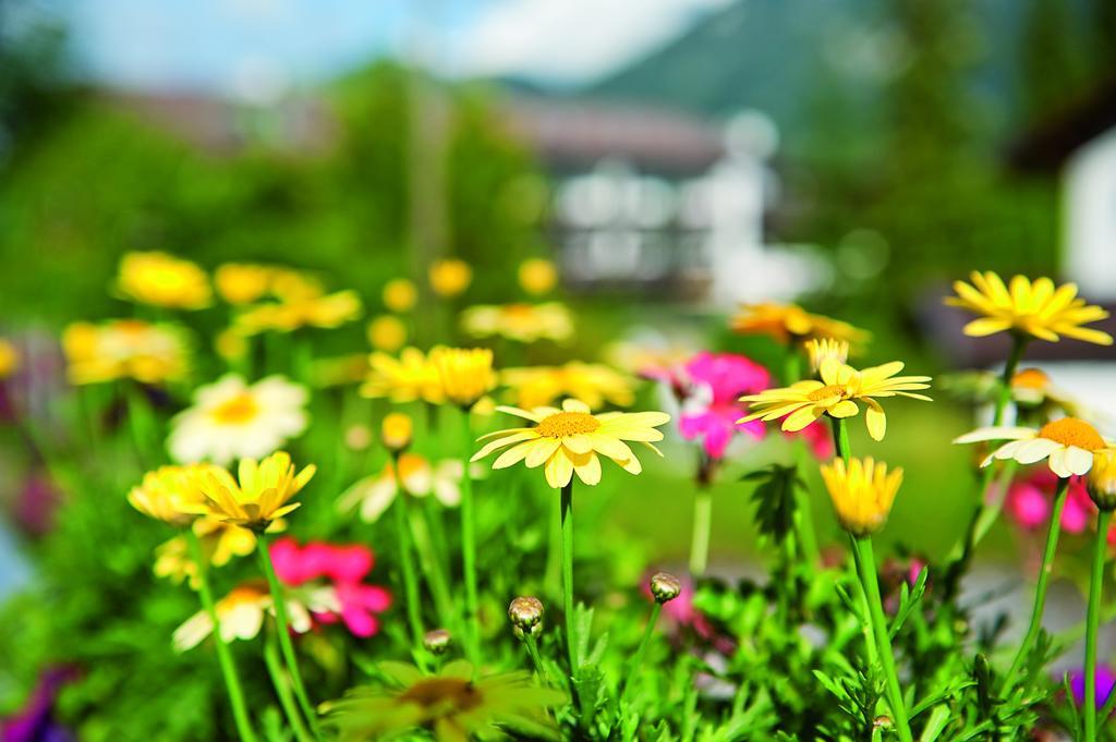 Parkhotel Wallgau 4 Sterne Superior Alpenjuwel Mit Spa Genuss, Golf & Wellness In Der Karwendel-Region Tradition Trifft Eleganz Im Stilvollen Rueckzugsort Exterior foto